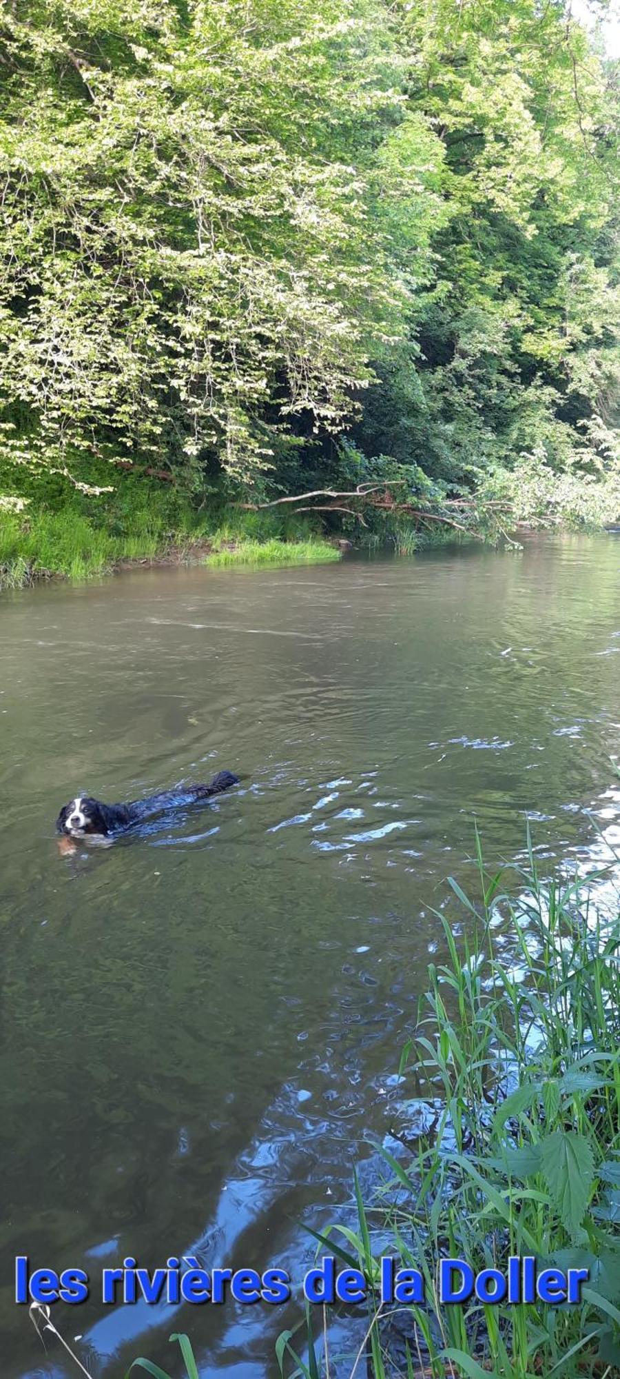 Gite Au Petit Verger Masevaux-Niederbruck Zewnętrze zdjęcie