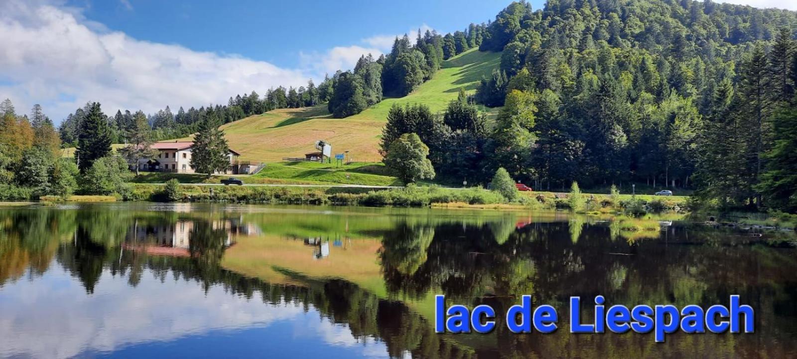 Gite Au Petit Verger Masevaux-Niederbruck Zewnętrze zdjęcie