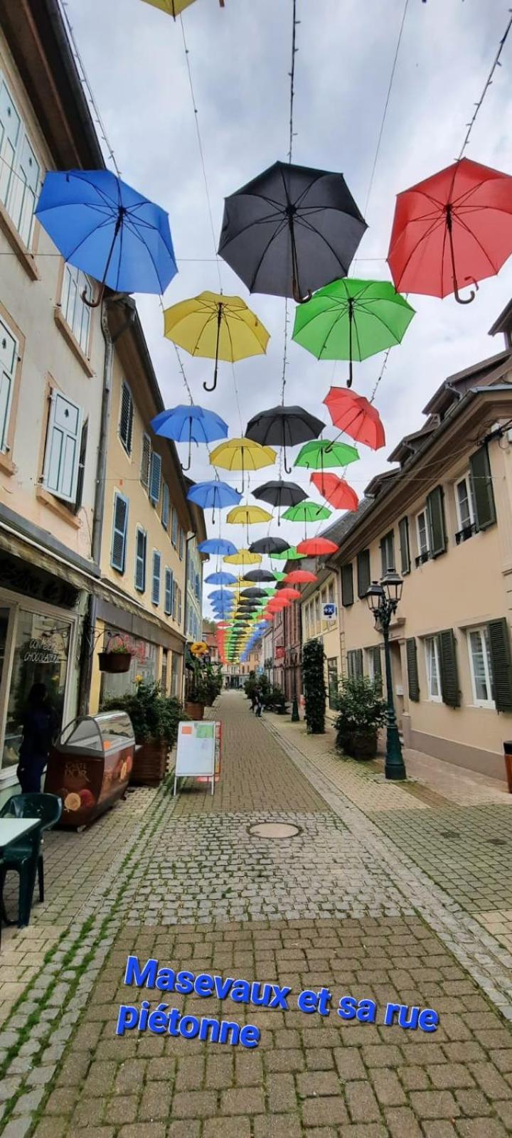 Gite Au Petit Verger Masevaux-Niederbruck Zewnętrze zdjęcie
