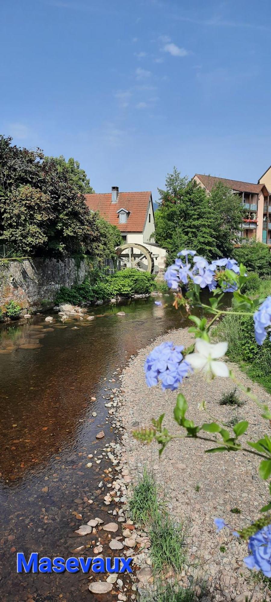 Gite Au Petit Verger Masevaux-Niederbruck Pokój zdjęcie